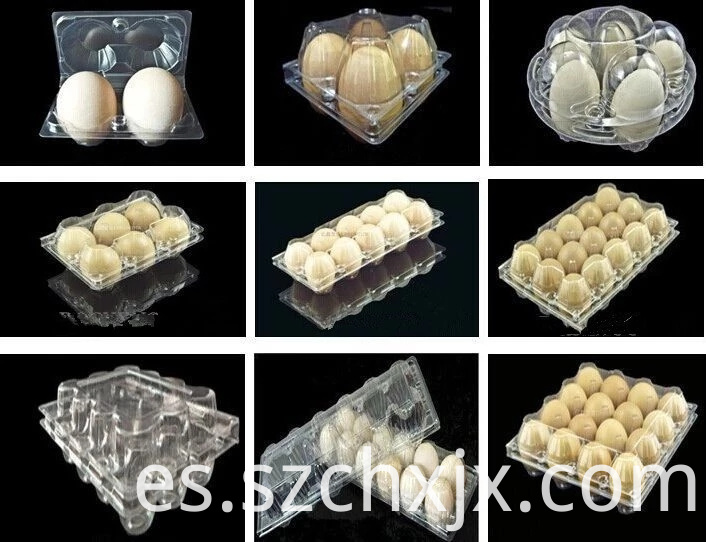 Moldeado y muestras Molding and Samples